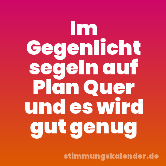 Im Gegenlicht segeln auf Plan Quer und es wird gut genug