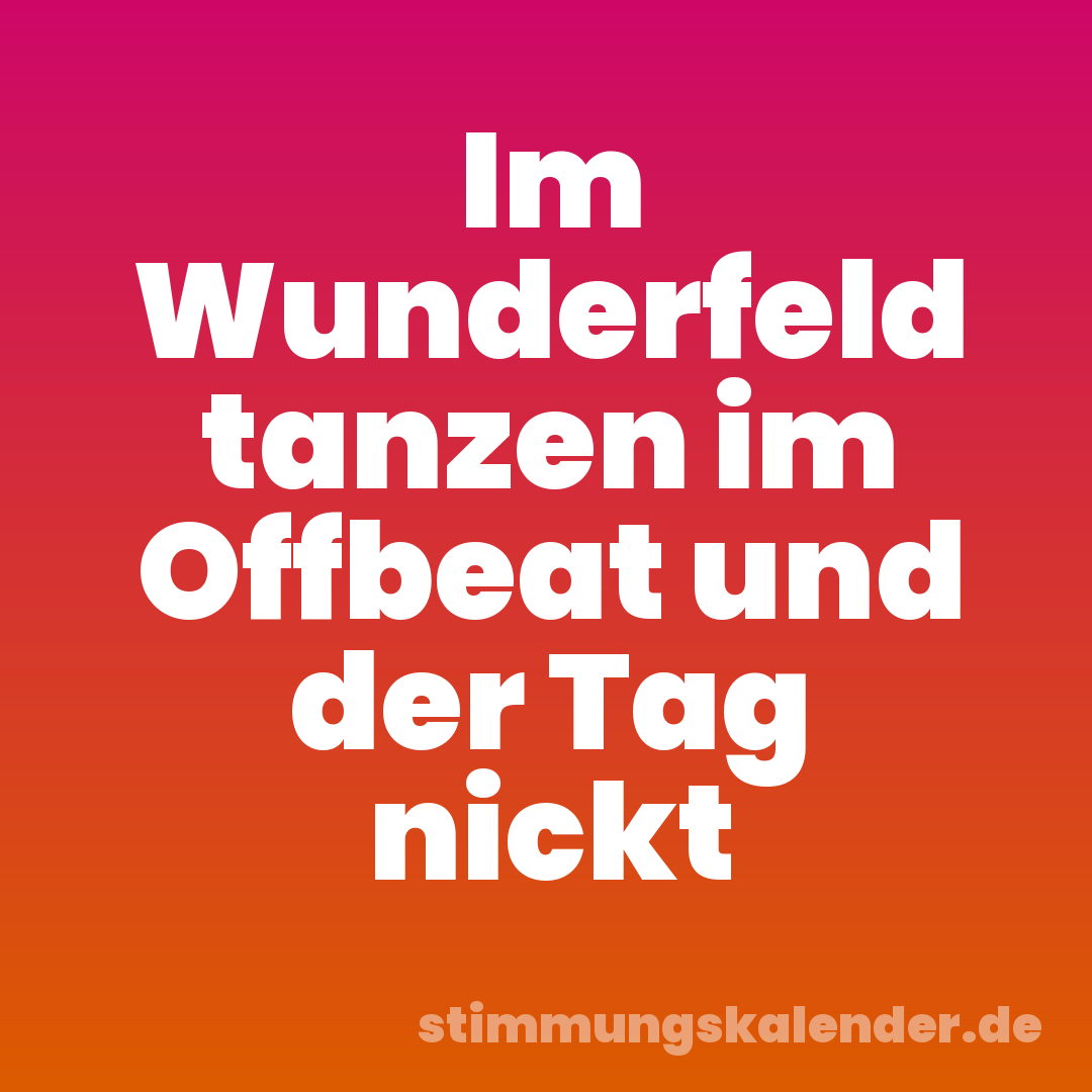 Im Wunderfeld tanzen im Offbeat und der Tag nickt