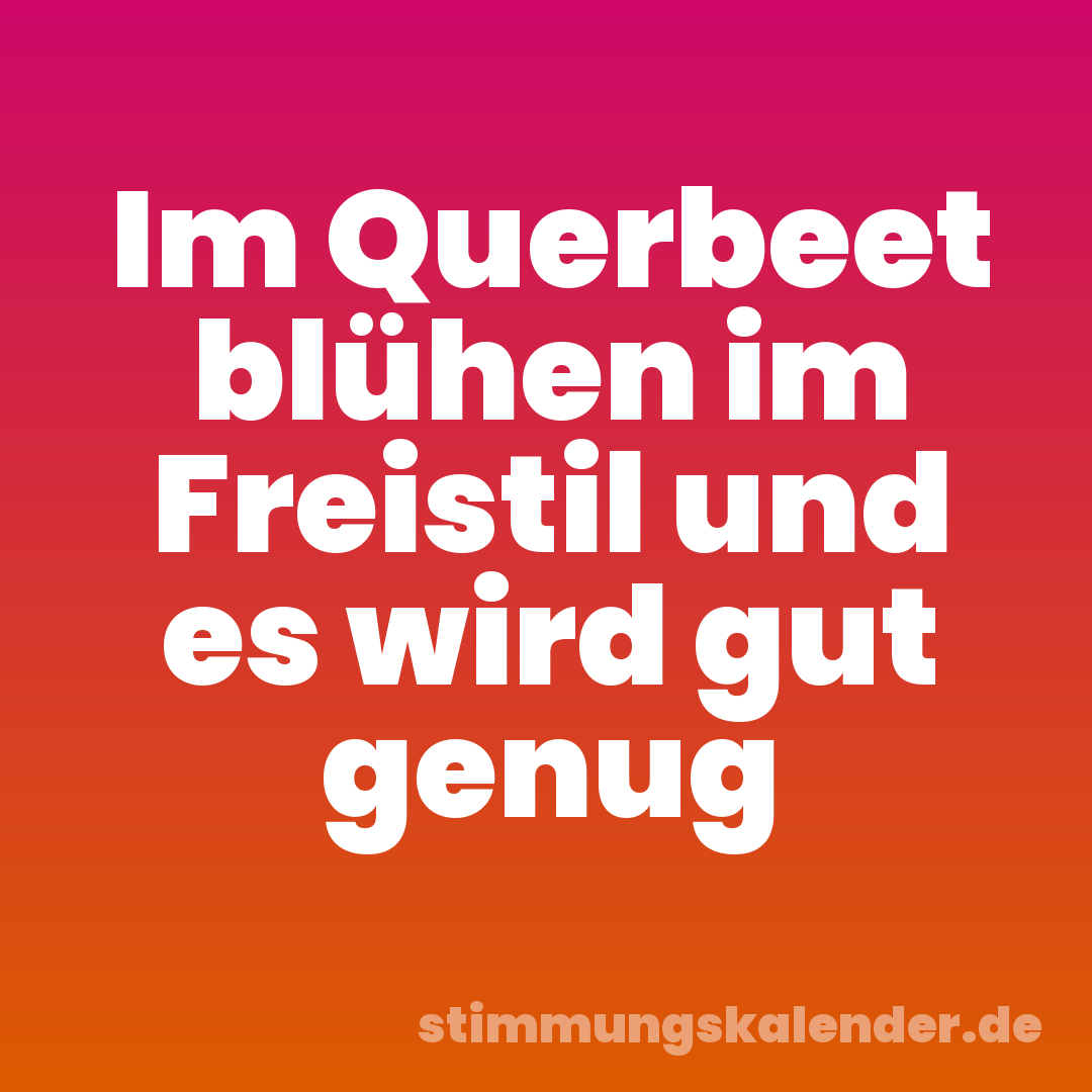 Im Querbeet blühen im Freistil und es wird gut genug