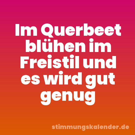 Im Querbeet blühen im Freistil und es wird gut genug