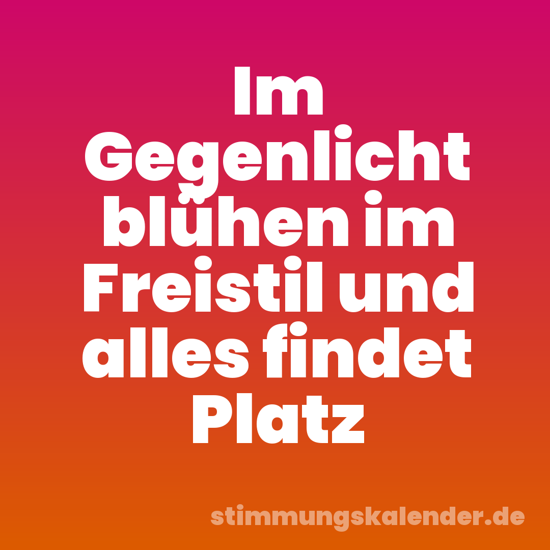 Im Gegenlicht blühen im Freistil und alles findet Platz
