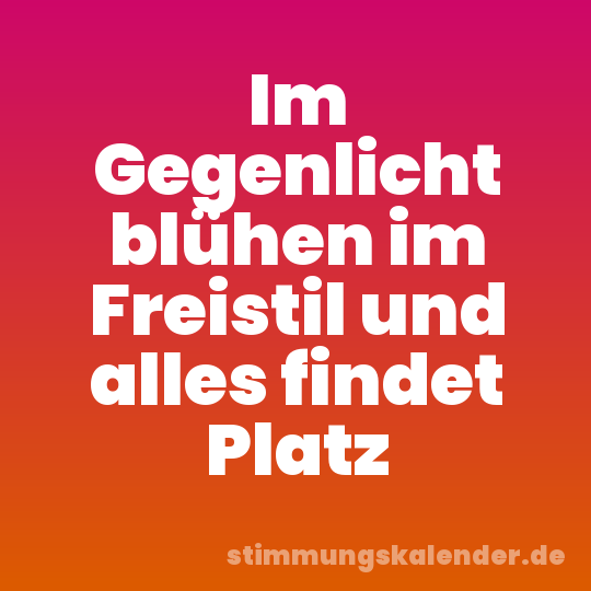 Im Gegenlicht blühen im Freistil und alles findet Platz