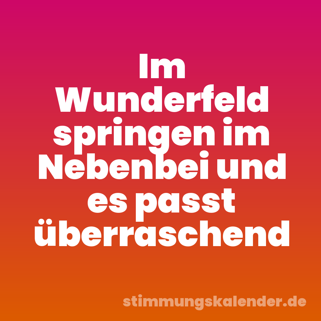 Im Wunderfeld springen im Nebenbei und es passt überraschend