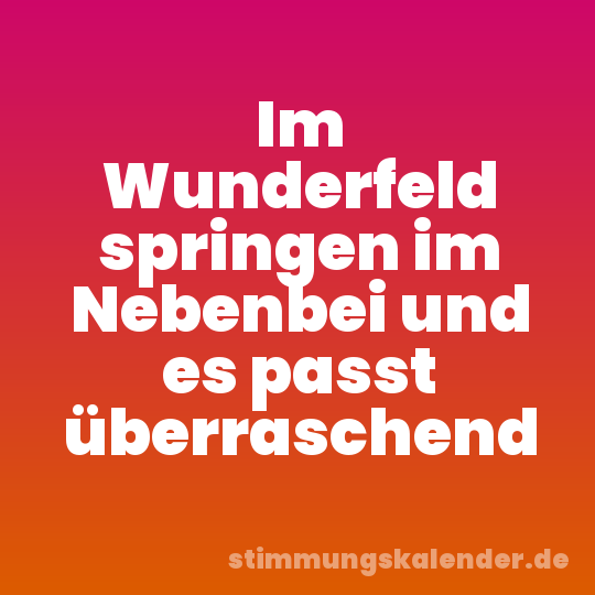 Im Wunderfeld springen im Nebenbei und es passt überraschend
