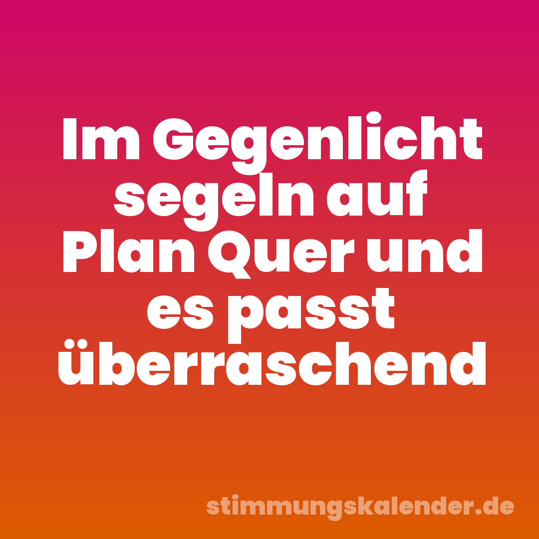Im Gegenlicht segeln auf Plan Quer und es passt überraschend