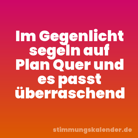 Im Gegenlicht segeln auf Plan Quer und es passt überraschend