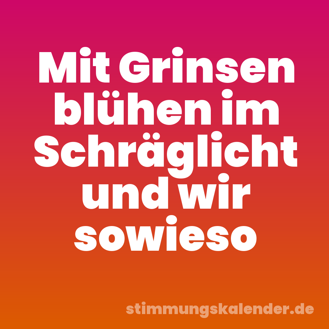 Mit Grinsen blühen im Schräglicht und wir sowieso