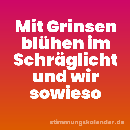 Mit Grinsen blühen im Schräglicht und wir sowieso