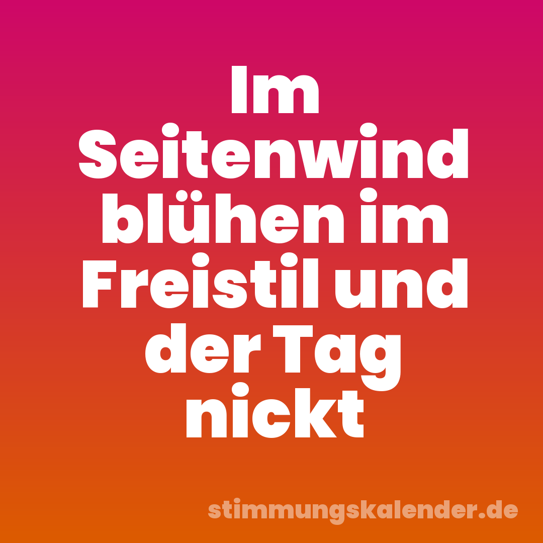 Im Seitenwind blühen im Freistil und der Tag nickt