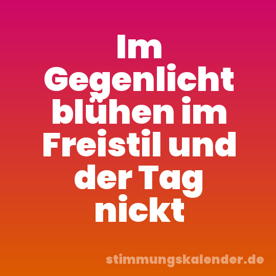 Im Gegenlicht blühen im Freistil und der Tag nickt