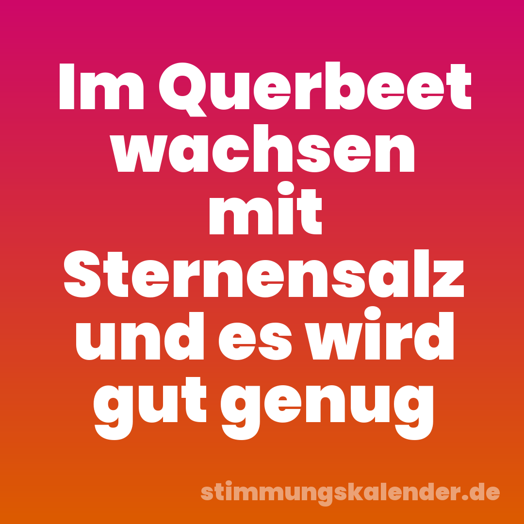 Im Querbeet wachsen mit Sternensalz und es wird gut genug