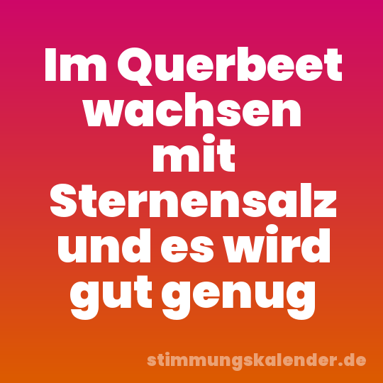 Im Querbeet wachsen mit Sternensalz und es wird gut genug