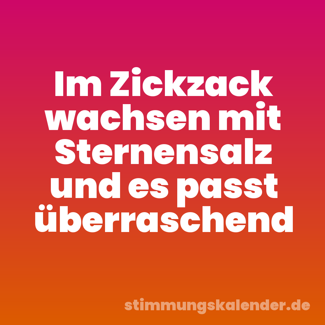 Im Zickzack wachsen mit Sternensalz und es passt überraschend