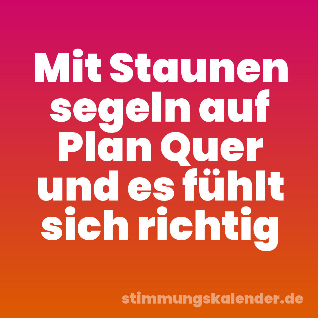 Mit Staunen segeln auf Plan Quer und es fühlt sich richtig