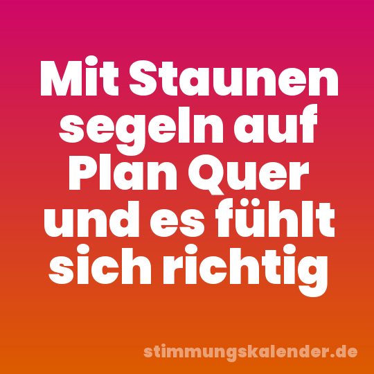 Mit Staunen segeln auf Plan Quer und es fühlt sich richtig
