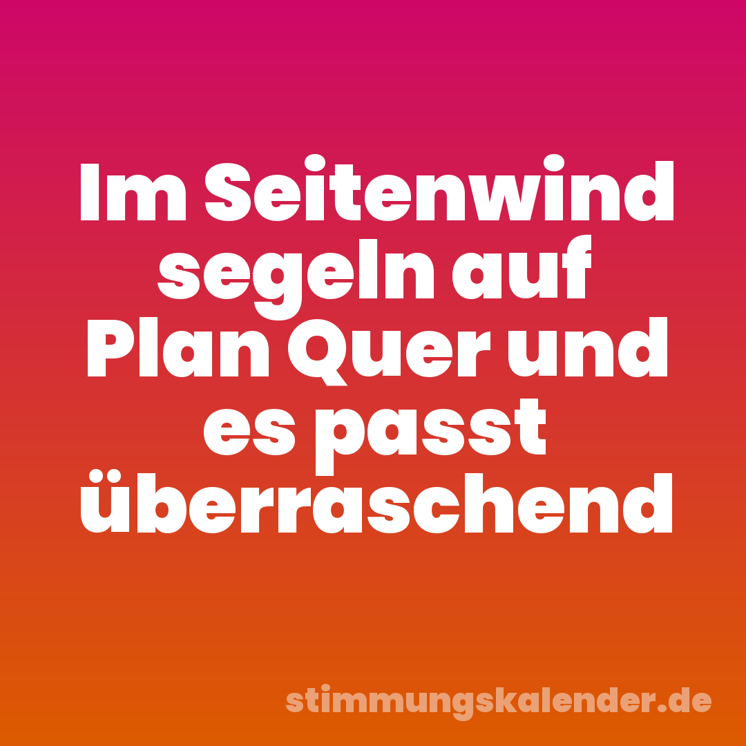 Im Seitenwind segeln auf Plan Quer und es passt überraschend