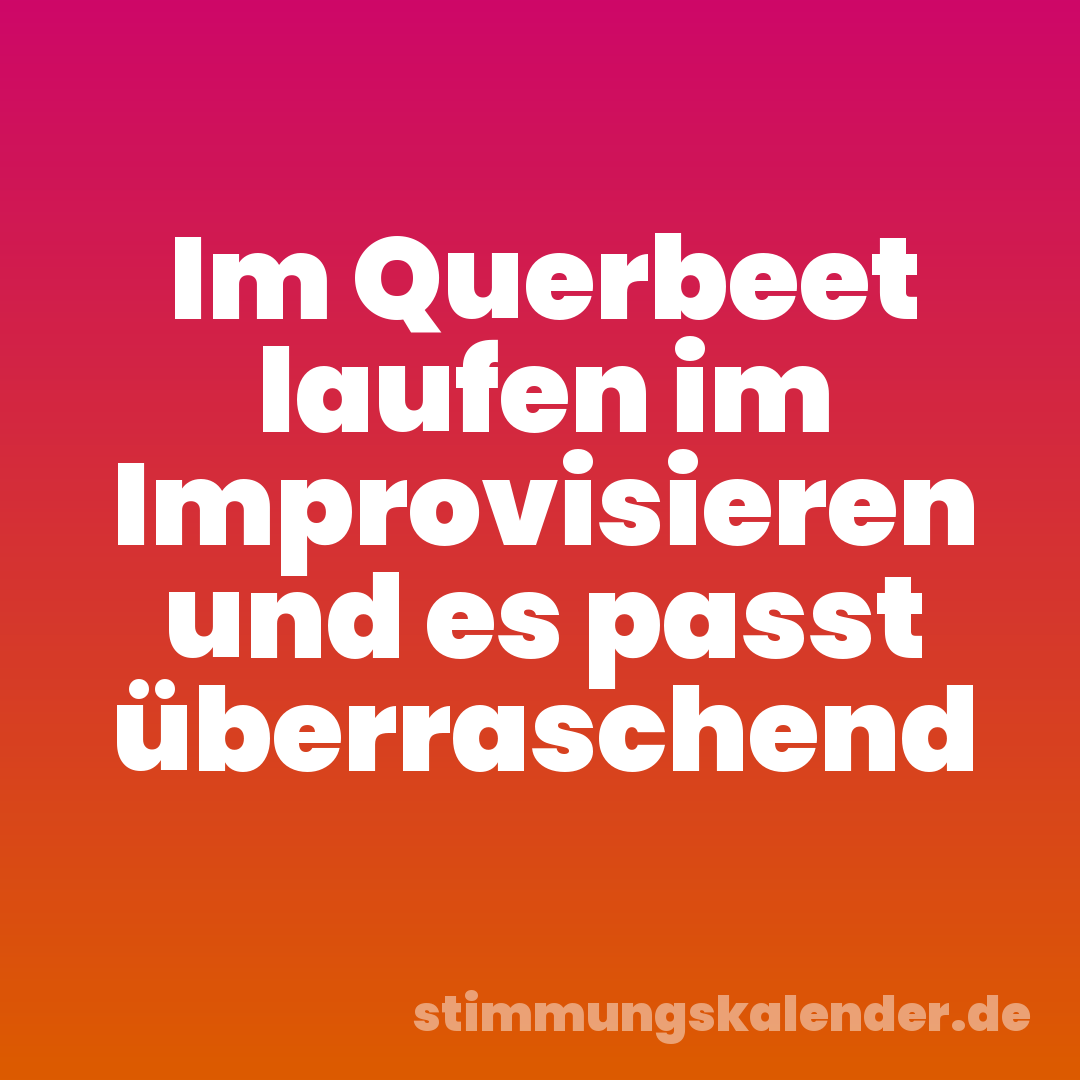 Im Querbeet laufen im Improvisieren und es passt überraschend