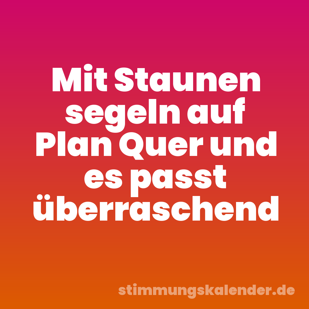 Mit Staunen segeln auf Plan Quer und es passt überraschend