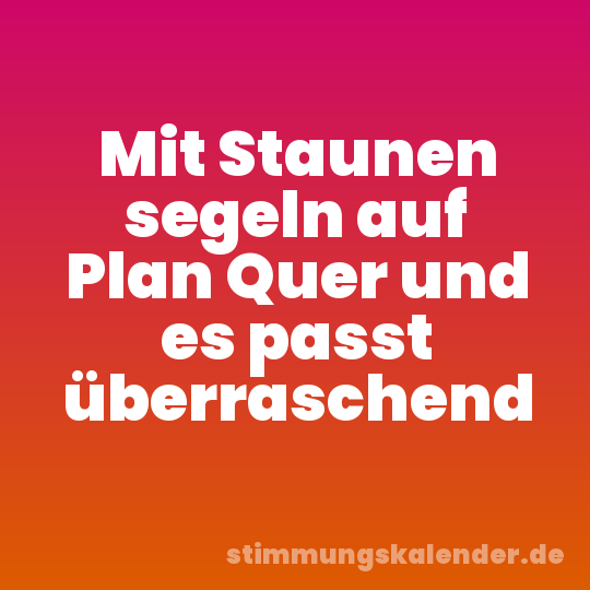 Mit Staunen segeln auf Plan Quer und es passt überraschend