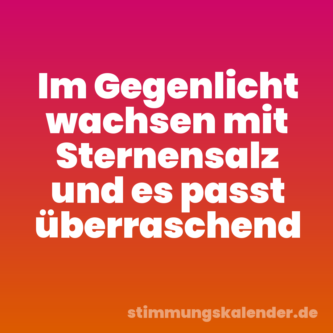 Im Gegenlicht wachsen mit Sternensalz und es passt überraschend
