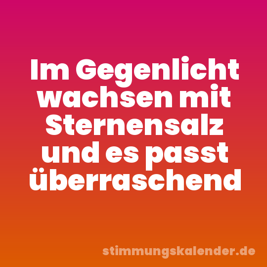 Im Gegenlicht wachsen mit Sternensalz und es passt überraschend
