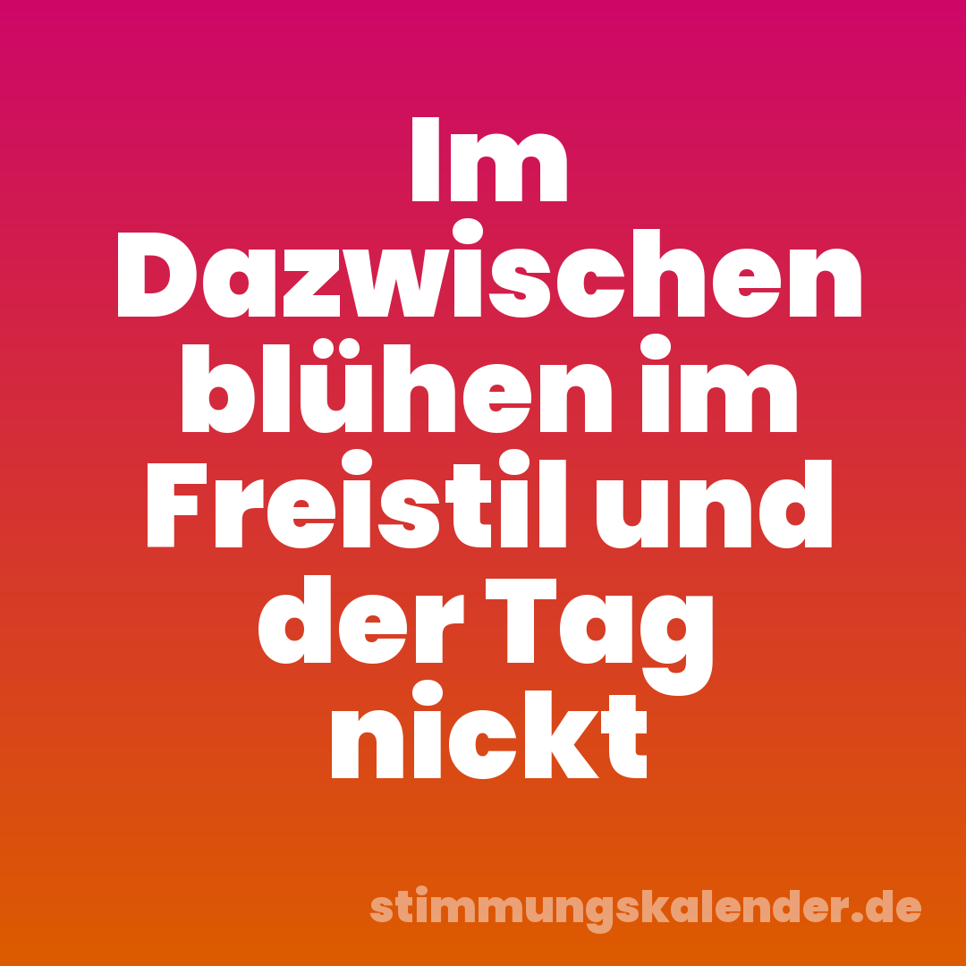 Im Dazwischen blühen im Freistil und der Tag nickt