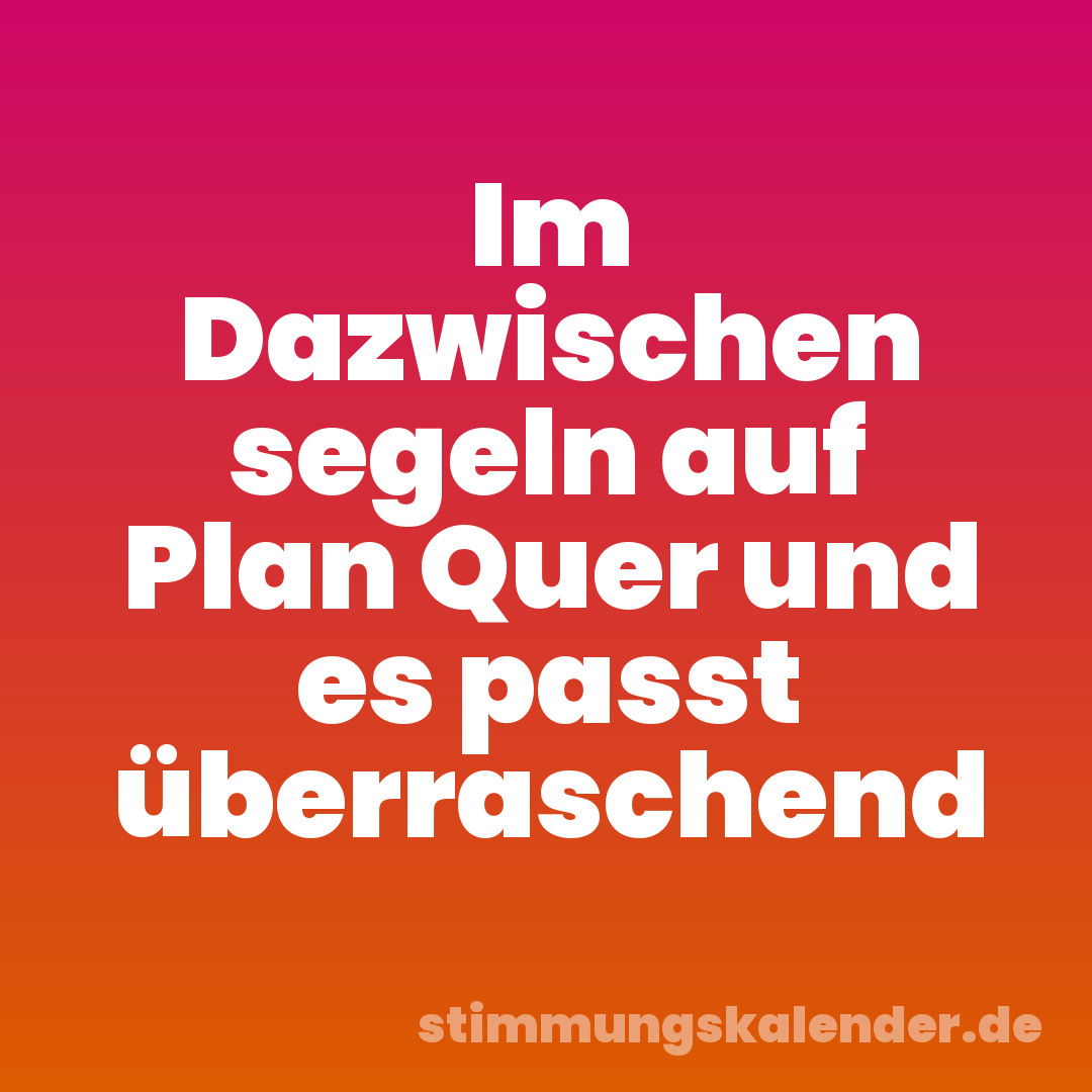 Im Dazwischen segeln auf Plan Quer und es passt überraschend