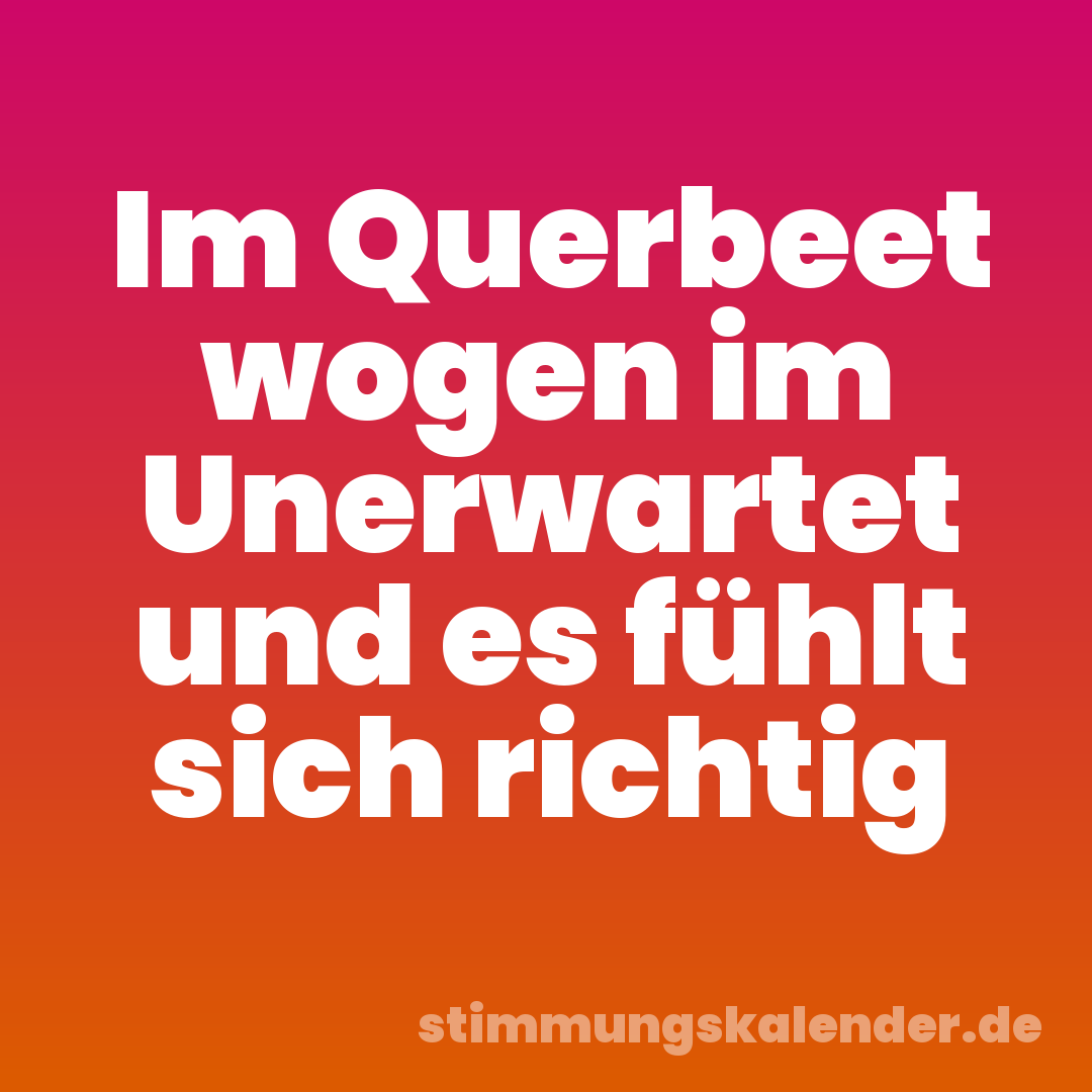 Im Querbeet wogen im Unerwartet und es fühlt sich richtig