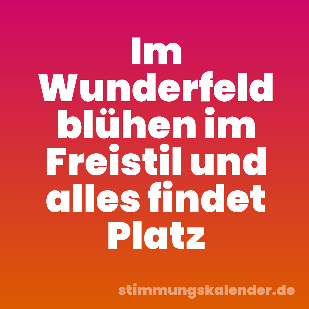 Im Wunderfeld blühen im Freistil und alles findet Platz