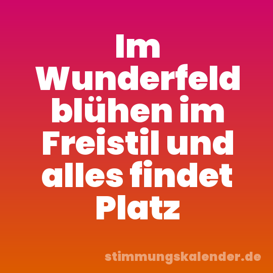 Im Wunderfeld blühen im Freistil und alles findet Platz