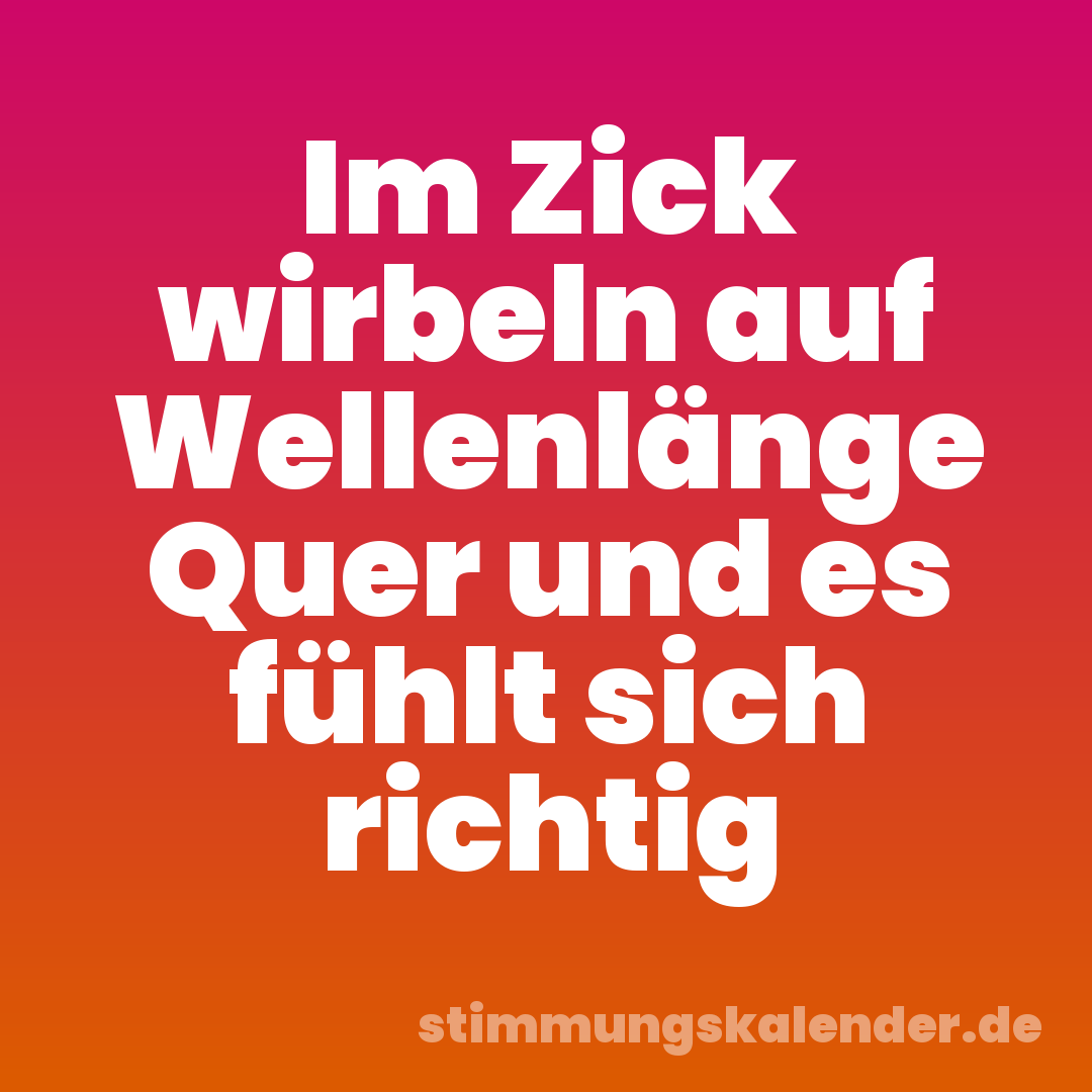 Im Zick wirbeln auf Wellenlänge Quer und es fühlt sich richtig