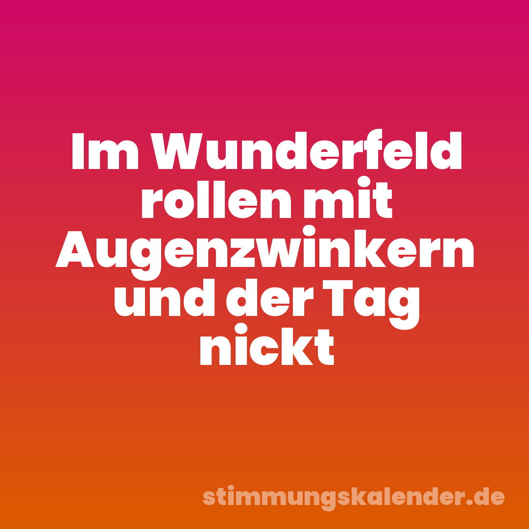 Im Wunderfeld rollen mit Augenzwinkern und der Tag nickt