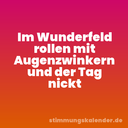 Im Wunderfeld rollen mit Augenzwinkern und der Tag nickt
