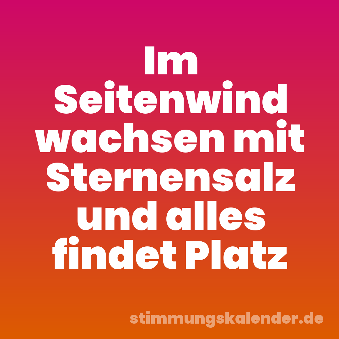 Im Seitenwind wachsen mit Sternensalz und alles findet Platz