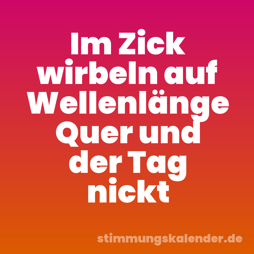 Im Zick wirbeln auf Wellenlänge Quer und der Tag nickt