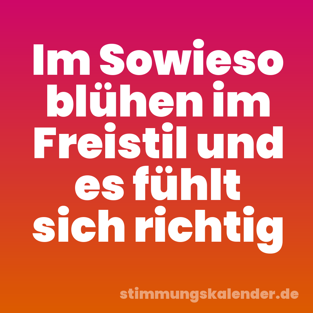 Im Sowieso blühen im Freistil und es fühlt sich richtig