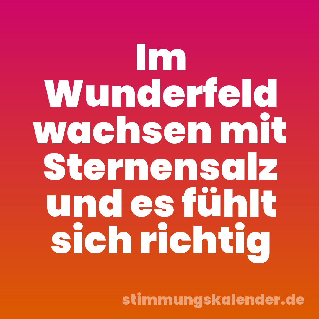 Im Wunderfeld wachsen mit Sternensalz und es fühlt sich richtig