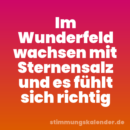Im Wunderfeld wachsen mit Sternensalz und es fühlt sich richtig