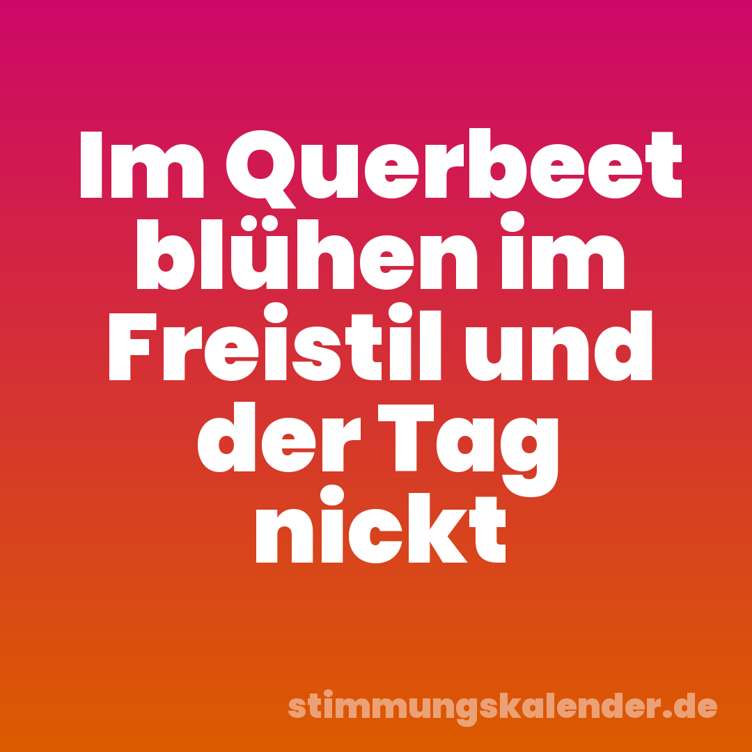 Im Querbeet blühen im Freistil und der Tag nickt