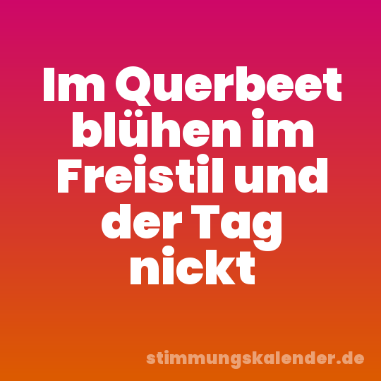 Im Querbeet blühen im Freistil und der Tag nickt