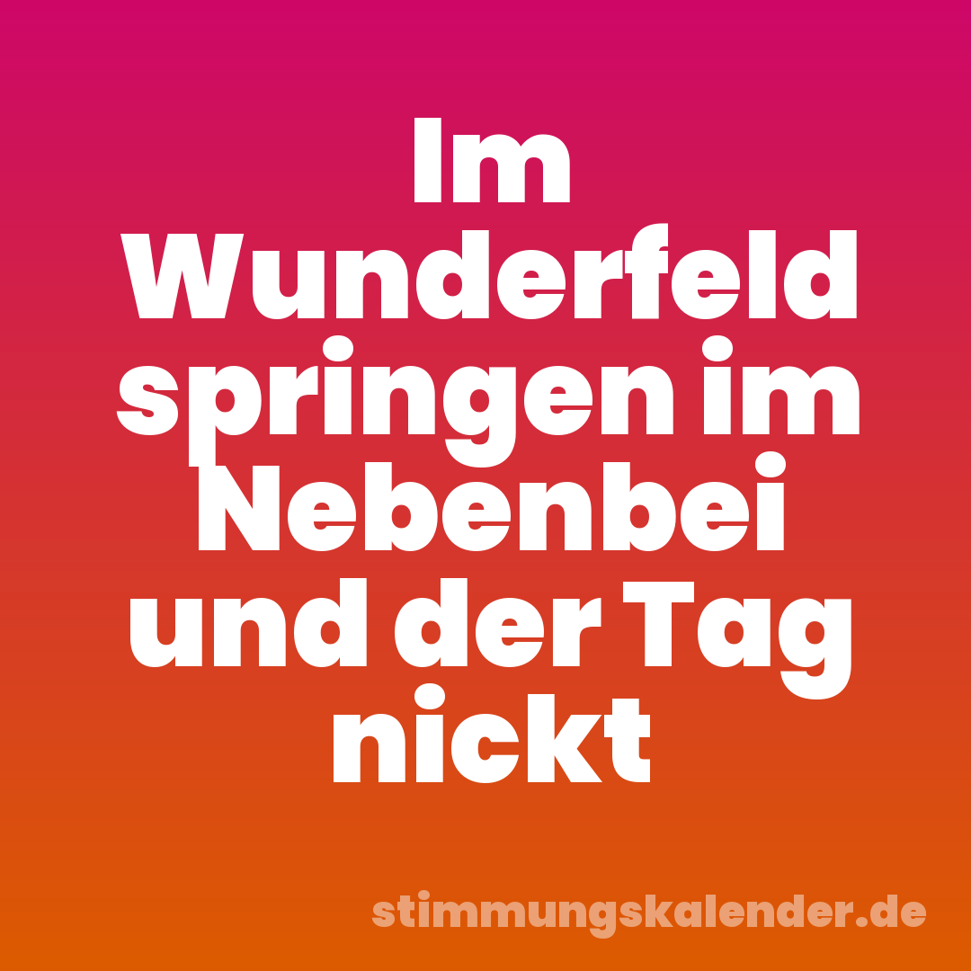 Im Wunderfeld springen im Nebenbei und der Tag nickt