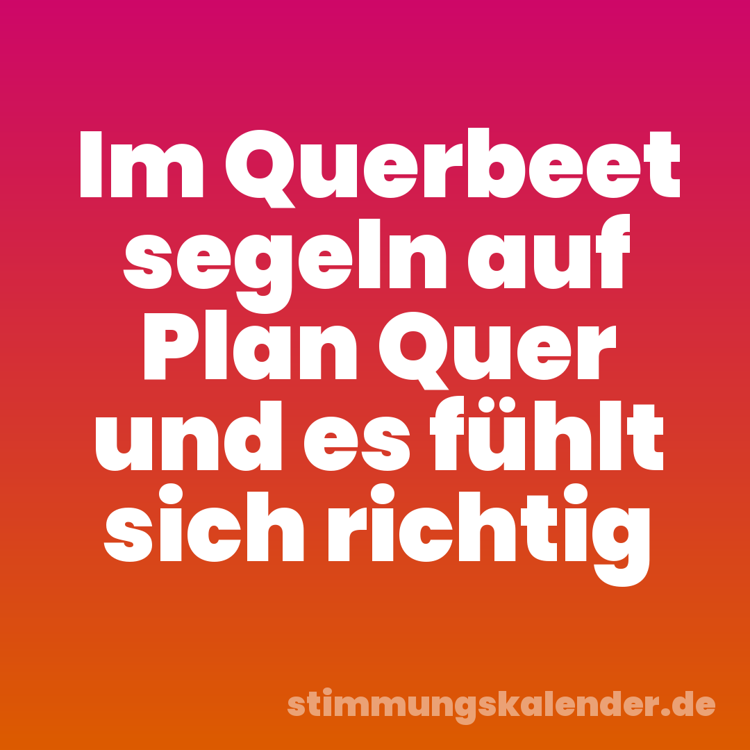 Im Querbeet segeln auf Plan Quer und es fühlt sich richtig
