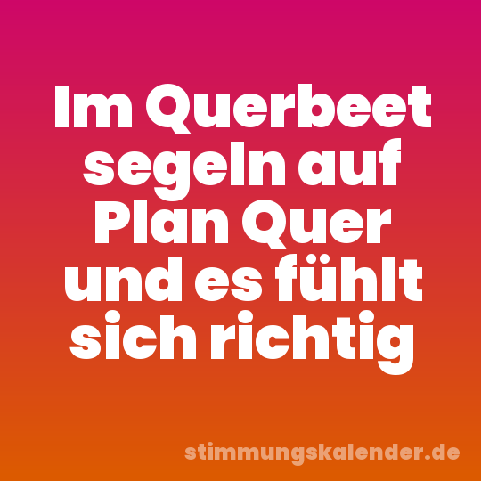 Im Querbeet segeln auf Plan Quer und es fühlt sich richtig
