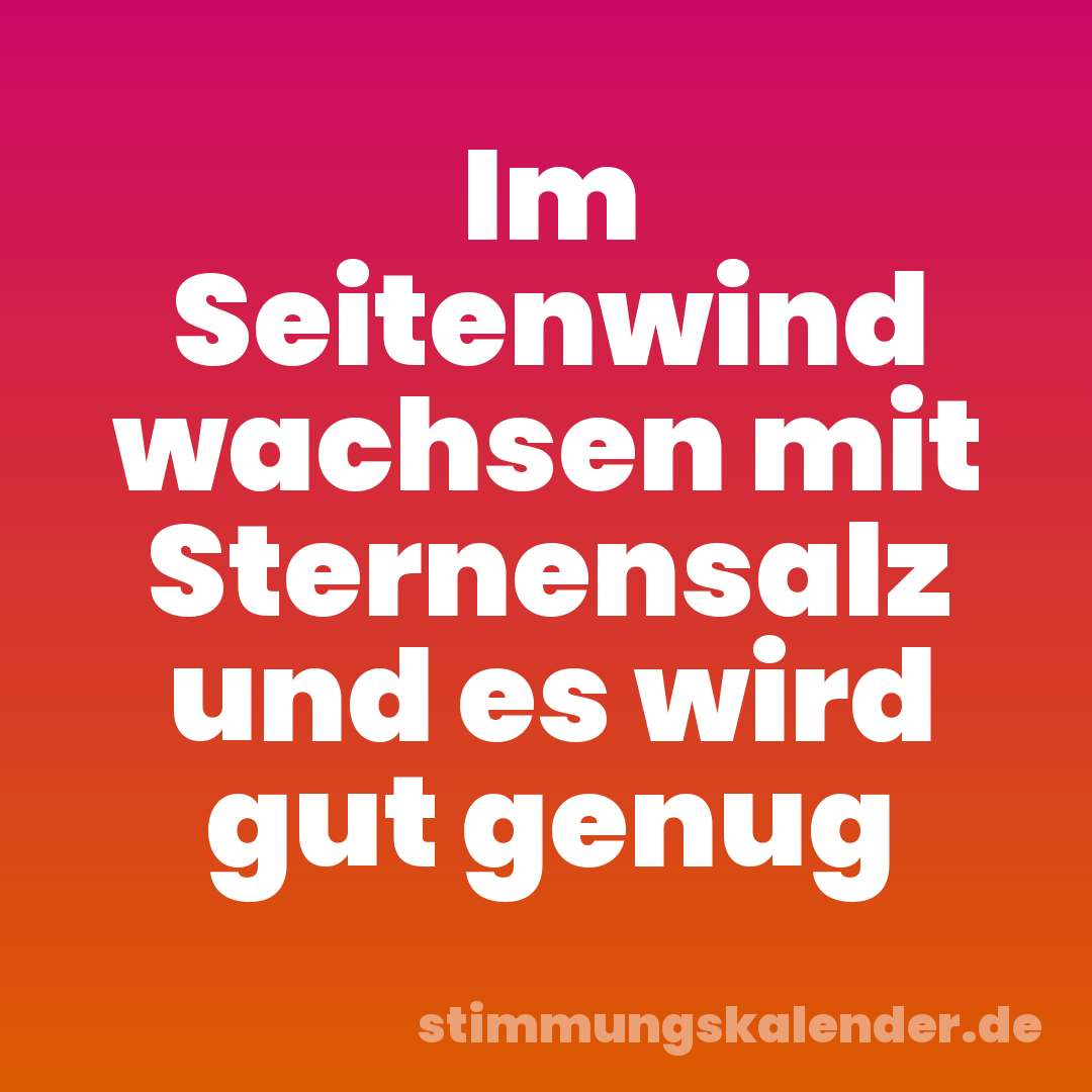 Im Seitenwind wachsen mit Sternensalz und es wird gut genug