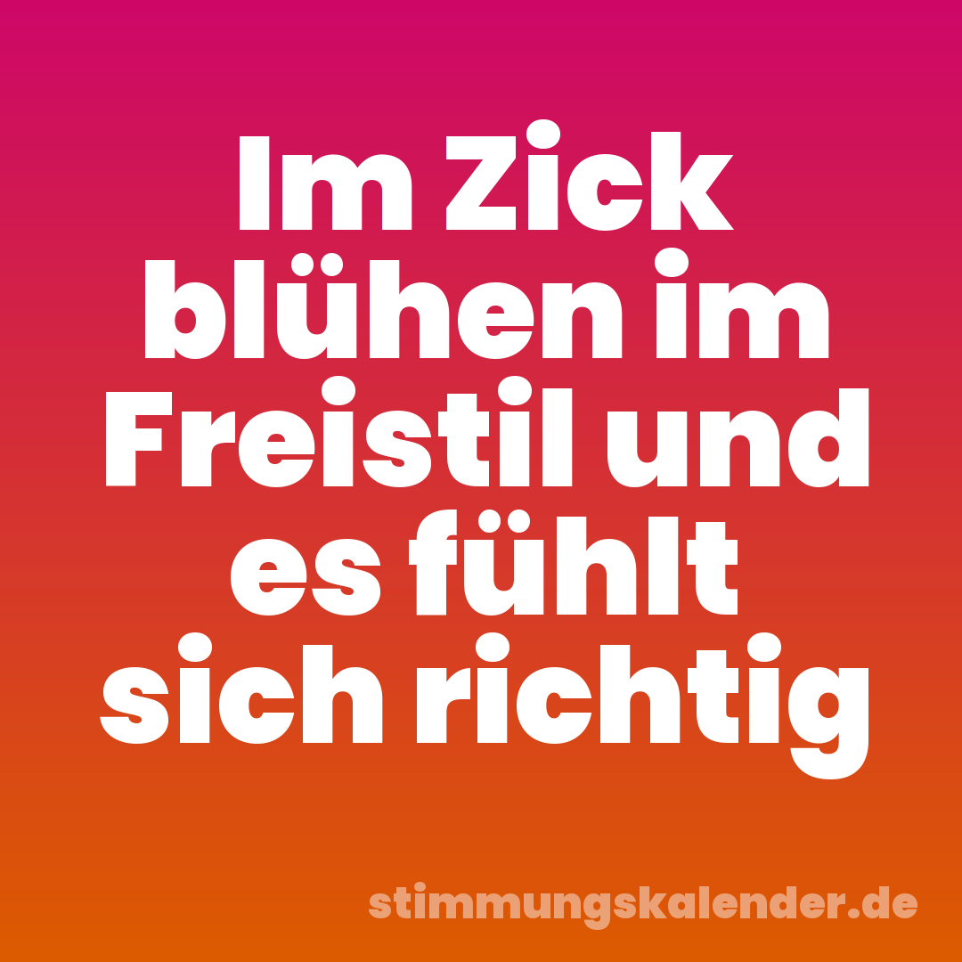 Im Zick blühen im Freistil und es fühlt sich richtig
