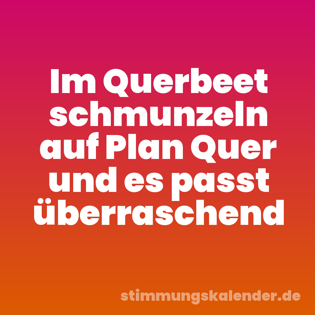 Im Querbeet schmunzeln auf Plan Quer und es passt überraschend