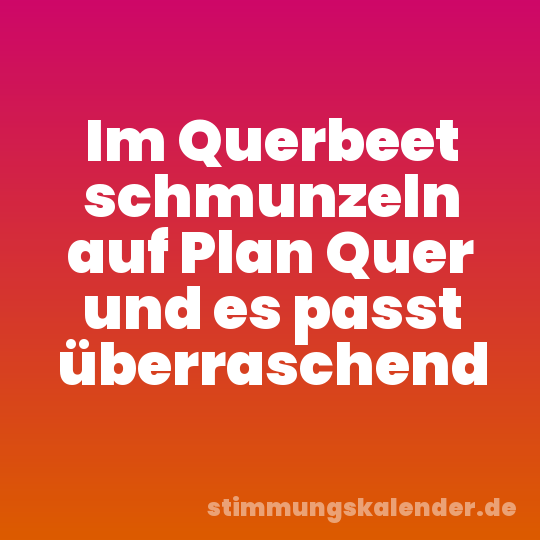 Im Querbeet schmunzeln auf Plan Quer und es passt überraschend