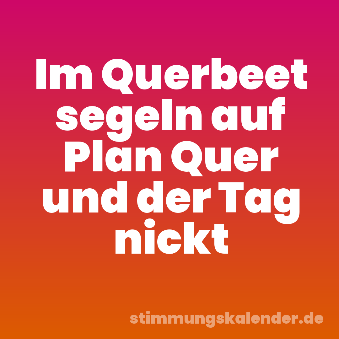 Im Querbeet segeln auf Plan Quer und der Tag nickt
