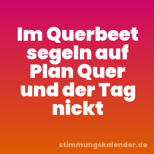 Im Querbeet segeln auf Plan Quer und der Tag nickt
