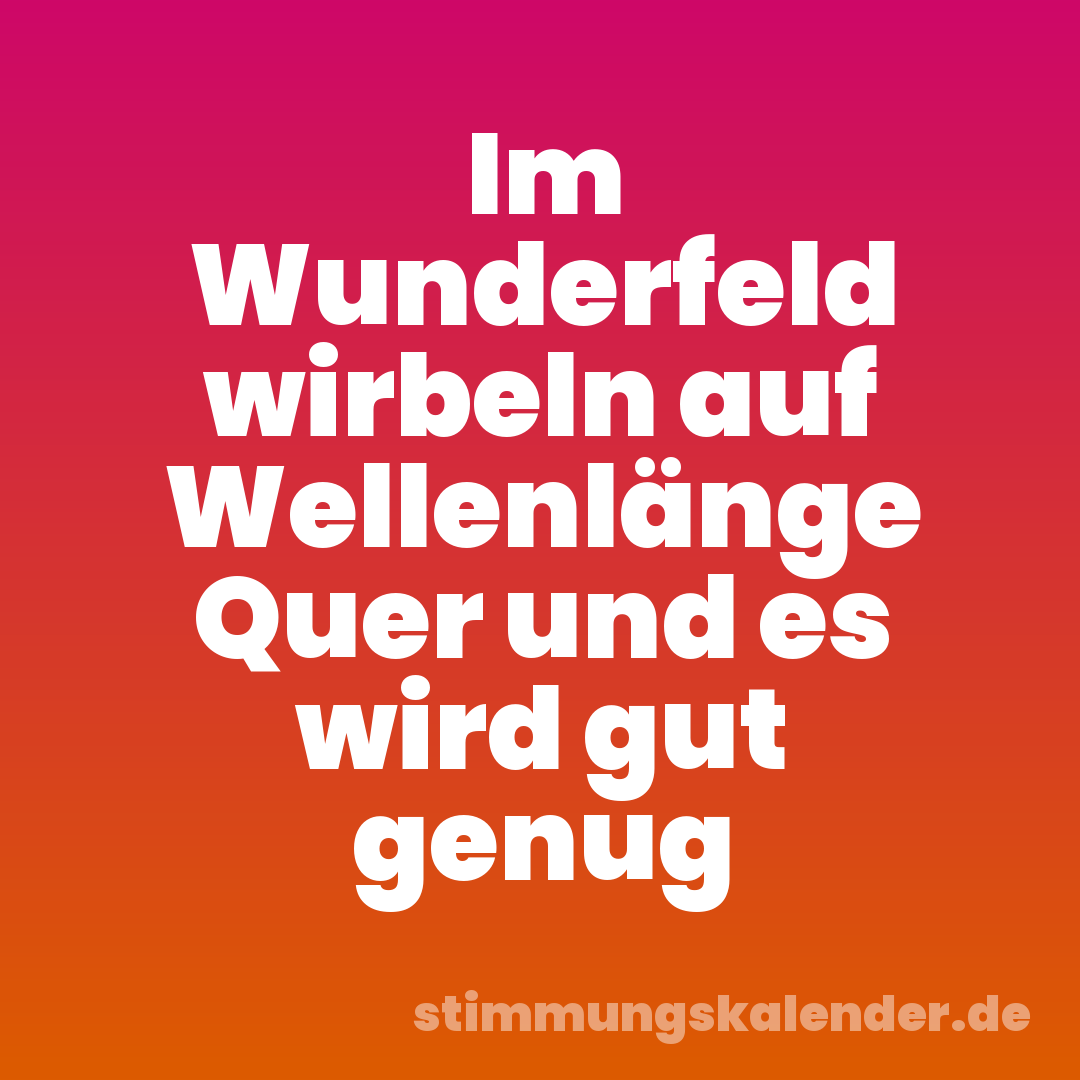 Im Wunderfeld wirbeln auf Wellenlänge Quer und es wird gut genug